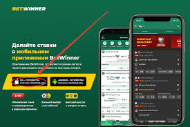Your Ultimate Guide to Betting with Betwinner